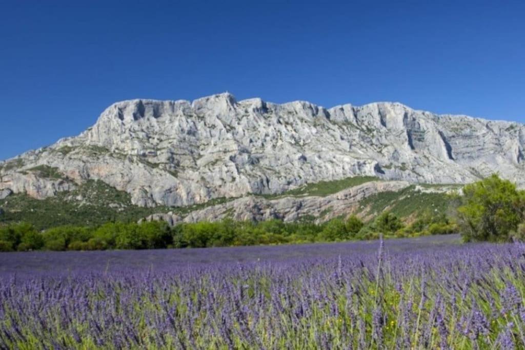 Lamaisonbleue * Auriol